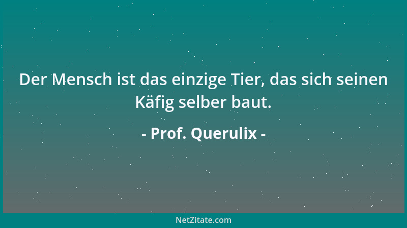 Prof. Querulix - Wer kein Ziel hat, verliert sich in der Welt. Wer nur ein Ziel hat, nimmt die Welt überhaupt nicht wahr....