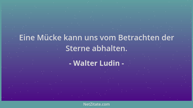 Walter Ludin - Eine Mücke kann uns vom Betrachten der Sterne abhalten....