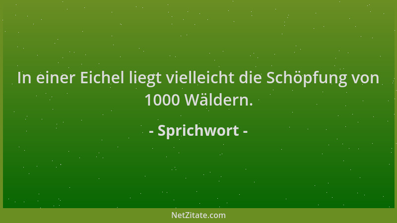 Sprichwort - In einer Eichel liegt vielleicht die Schöpfung von 1000 Wäldern....