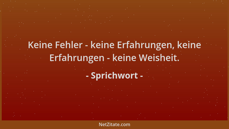 Sprichwort - Keine Fehler - keine Erfahrungen, keine Erfahrungen - keine Weisheit....