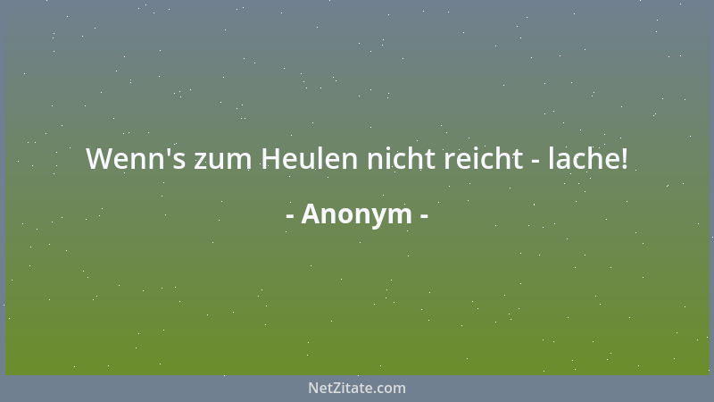 Anonym - Wenn 's zum Heulen nicht reicht - lache!...