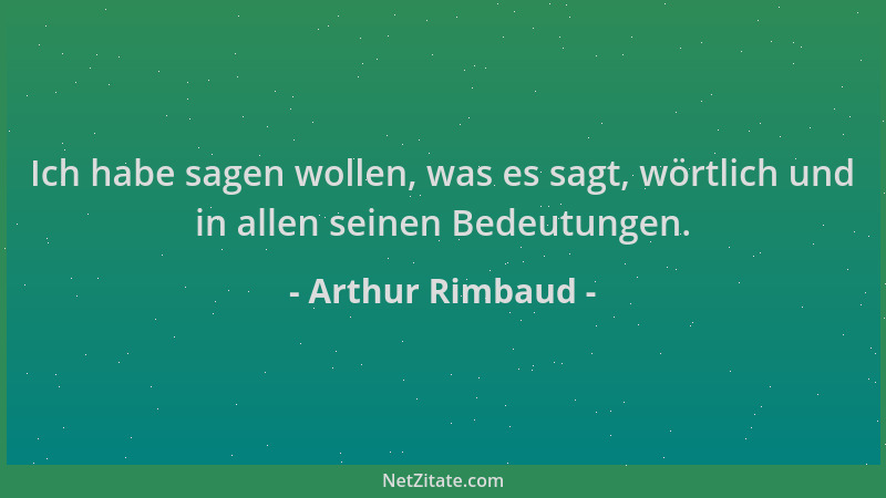 Arthur Rimbaud - Ich habe sagen wollen, was es sagt, wörtlich und in allen seinen Bedeutungen....
