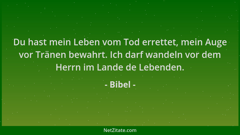 Bibel - Du hast mein Leben vom Tod errettet, mein Auge vor Tränen bewahrt. Ich darf wandeln vor dem Herrn im Lande de Leben...