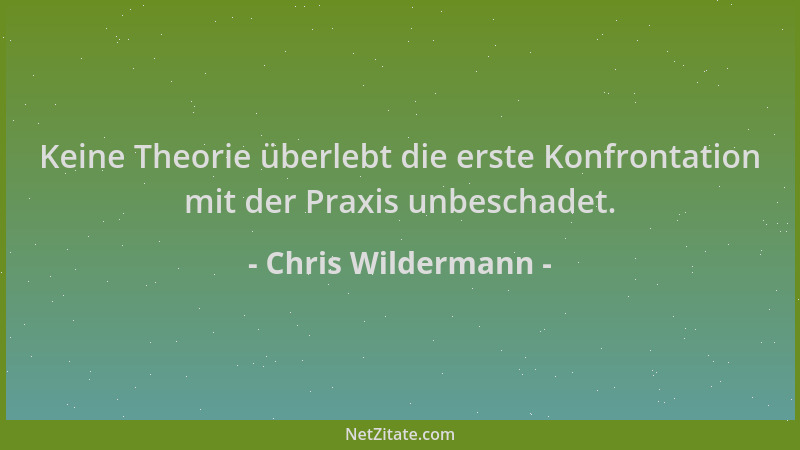 Chris Wildermann - Keine Theorie überlebt die erste Konfrontation mit der Praxis unbeschadet....