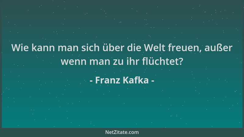 Franz Kafka - Wie kann man sich über die Welt freuen, außer wenn man zu ihr flüchtet?...