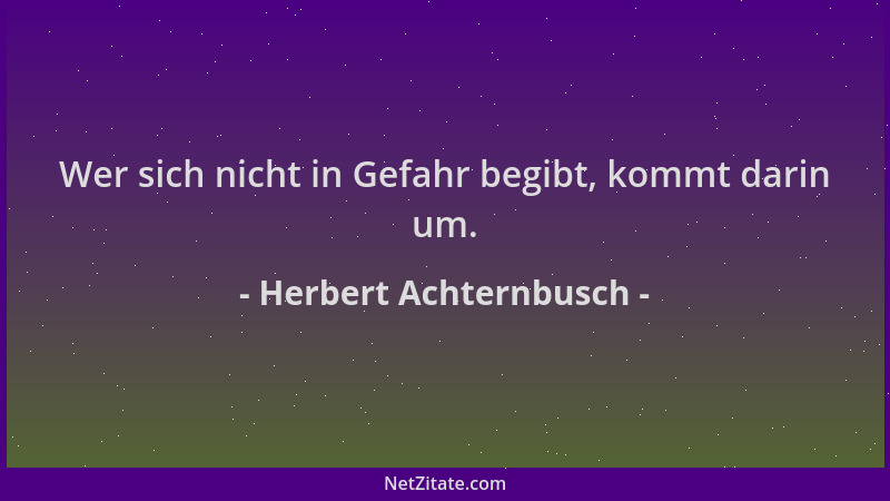 Herbert Achternbusch - Wer sich nicht in Gefahr begibt, kommt darin um....