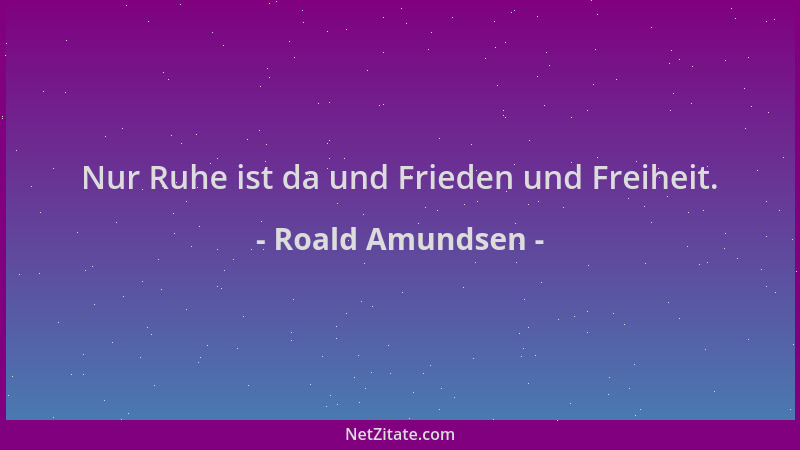 Roald Amundsen - Nur Ruhe ist da und Frieden und Freiheit....
