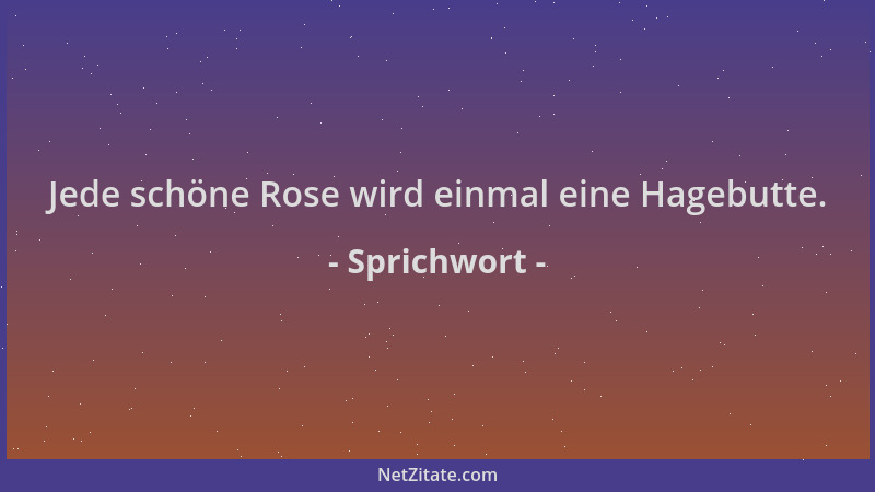 Sprichwort - Jede schöne Rose wird einmal eine Hagebutte....