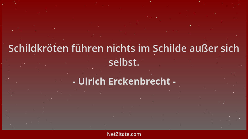 Ulrich Erckenbrecht - Schildkröten führen nichts im Schilde außer sich selbst....