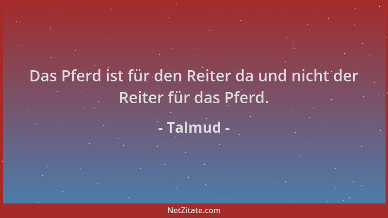 Talmud - Das Pferd ist für den Reiter da und nicht der Reiter für das Pferd....