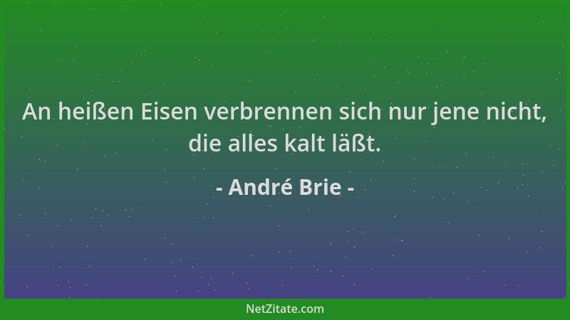 André Brie - An heißen Eisen verbrennen sich nur jene nicht, die alles kalt läßt....
