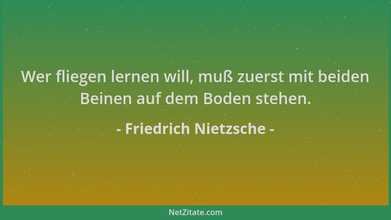 Friedrich Nietzsche - Wer fliegen lernen will, muß zuerst mit beiden Beinen auf dem Boden stehen....