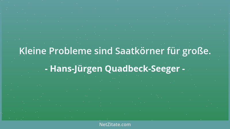 Hans-Jürgen Quadbeck-Seeger - Kleine Probleme sind Saatkörner für große....
