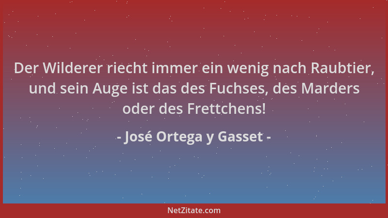José Ortega y Gasset - Der Wilderer riecht immer ein wenig nach Raubtier, und sein Auge ist das des Fuchses, des Marders od...