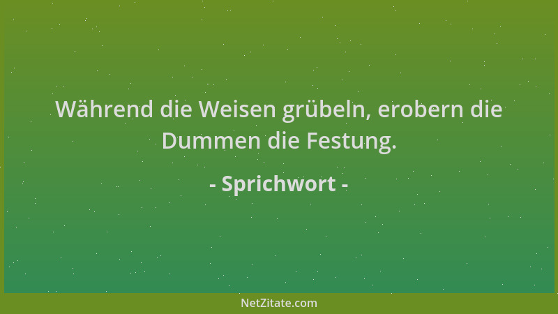 Sprichwort - Während die Weisen grübeln, erobern die Dummen die Festung....