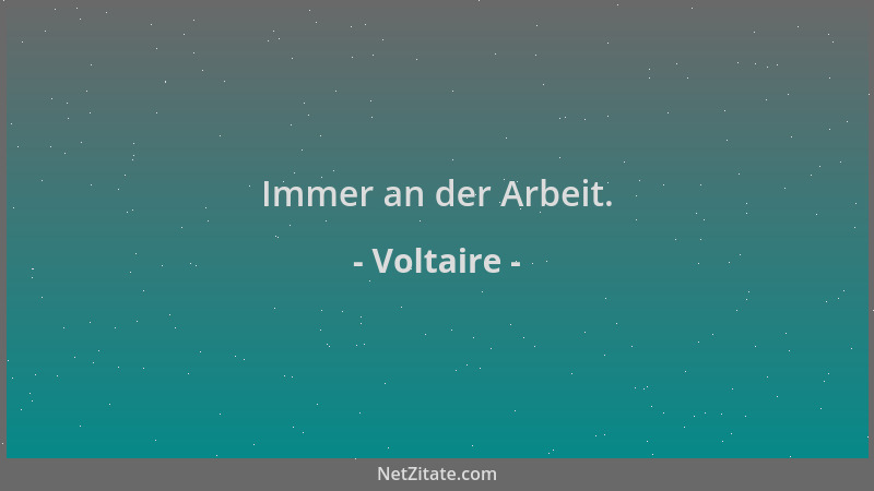 Voltaire - Immer an der Arbeit....