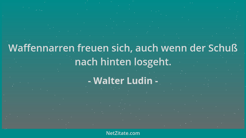 Walter Ludin - Waffennarren freuen sich, auch wenn der Schuß nach hinten losgeht....