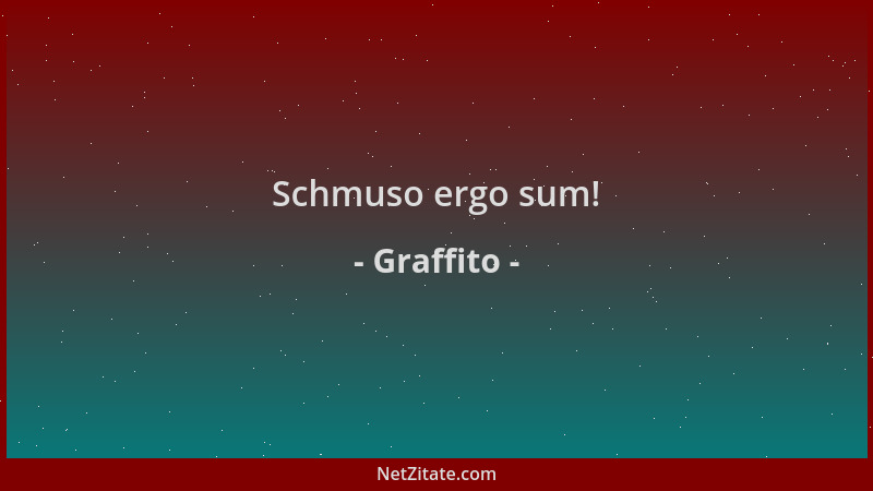 Graffito - Schmuso ergo sum!...