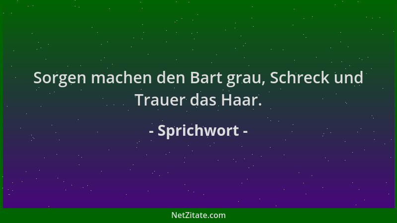 Sprichwort - Sorgen machen den Bart grau, Schreck und Trauer das Haar....