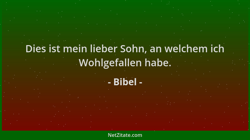 Bibel - Dies ist mein lieber Sohn, an welchem ich Wohlgefallen habe....