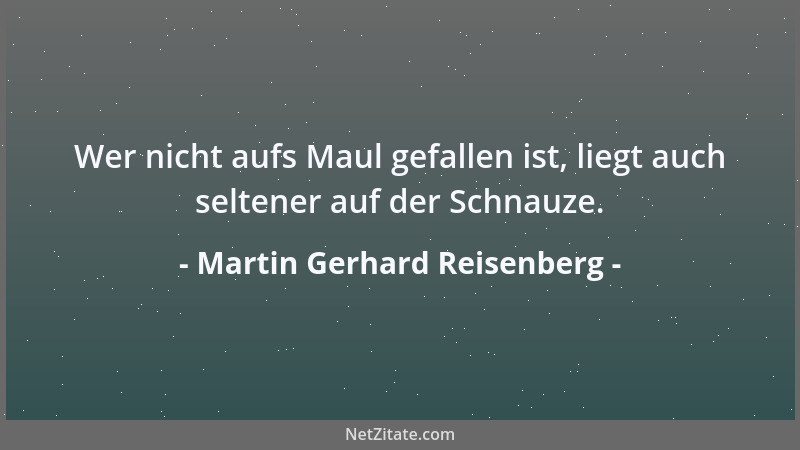 Martin Gerhard Reisenberg - Auch der Dachdecker hält sich für eine Art Himmelsstürmer. Und der Blick in fremde Stuben ersch...