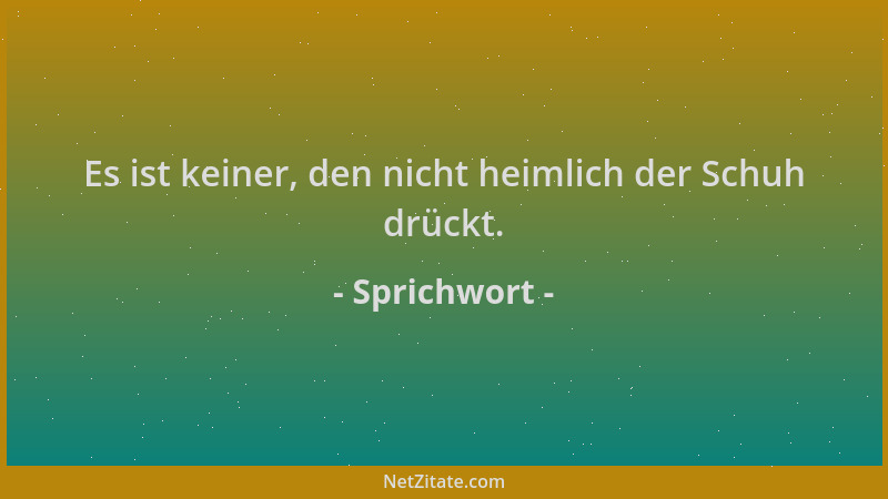Sprichwort - Es ist keiner, den nicht heimlich der Schuh drückt....