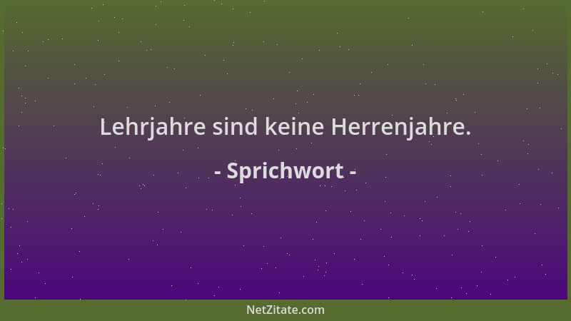 Sprichwort - Lehrjahre sind keine Herrenjahre....