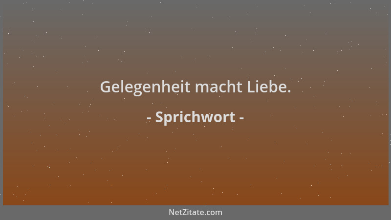 Sprichwort - Gelegenheit macht Liebe....