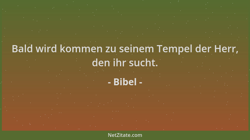 Bibel - Bald wird kommen zu seinem Tempel der Herr, den ihr sucht....