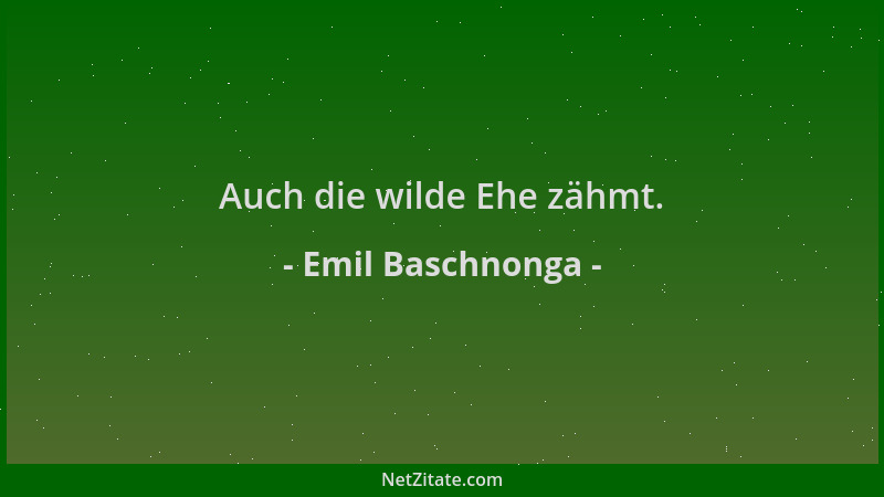 Emil Baschnonga - Auch die wilde Ehe zähmt....