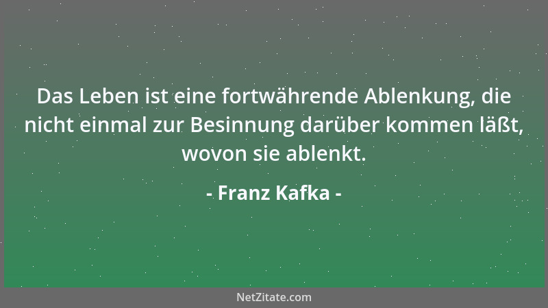 Franz Kafka - Den ekel- und hasserfüllten Kopf auf die Brust senken....