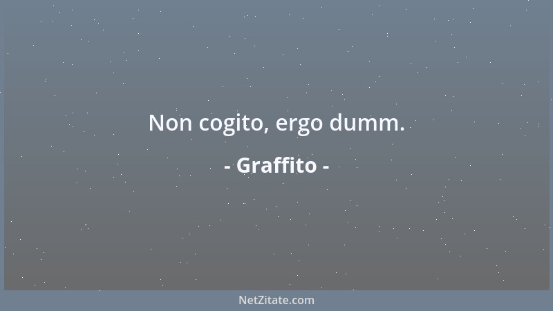 Graffito - Non cogito, ergo dumm....