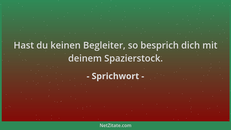 Sprichwort - Hast du keinen Begleiter, so besprich dich mit deinem Spazierstock....
