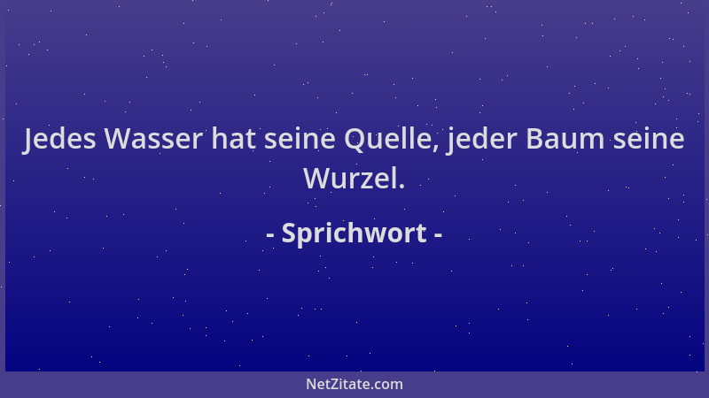 Sprichwort - Jedes Wasser hat seine Quelle, jeder Baum seine Wurzel....