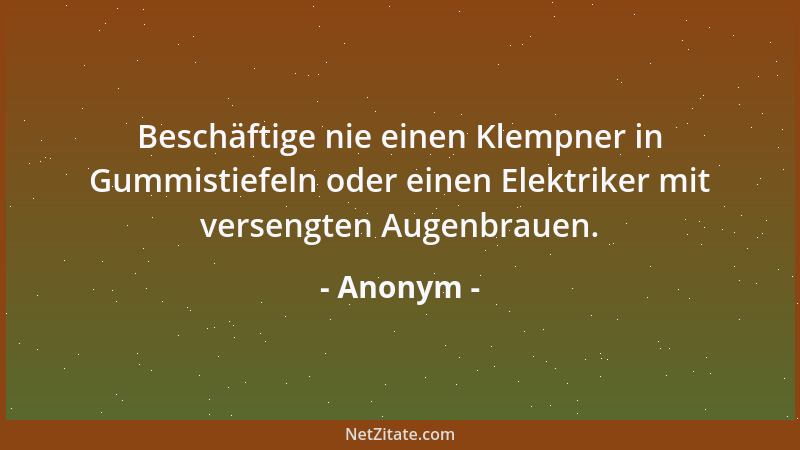Anonym - Beschäftige nie einen Klempner in Gummistiefeln oder einen Elektriker mit versengten Augenbrauen....