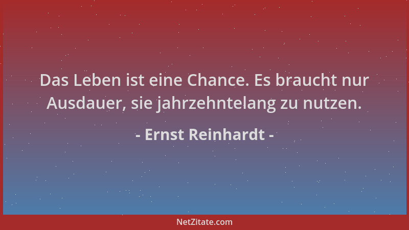 Ernst Reinhardt - Das Leben ist eine Chance. Es braucht nur Ausdauer, sie jahrzehntelang zu nutzen....