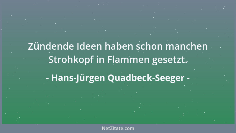 Hans-Jürgen Quadbeck-Seeger - Zündende Ideen haben schon manchen Strohkopf in Flammen gesetzt....