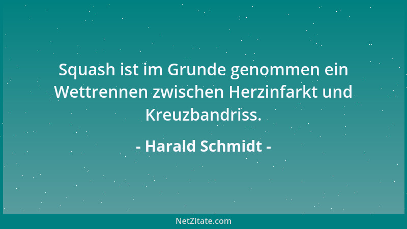 Harald Schmidt - Squash ist im Grunde genommen ein Wettrennen zwischen Herzinfarkt und Kreuzbandriss....