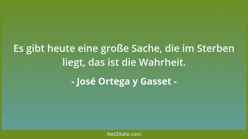 José Ortega y Gasset - Einzig der Entschluss, aus den Völkergruppen des Erdteils eine große Nation zu errichten, könnte den...