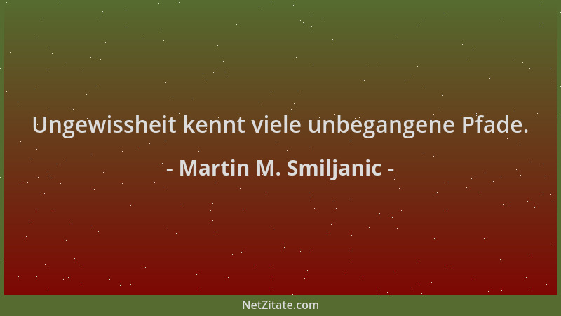 Martin M. Smiljanic - Ungewissheit kennt viele unbegangene Pfade....