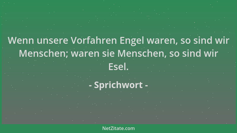 Sprichwort - Wenn unsere Vorfahren Engel waren, so sind wir Menschen; waren sie Menschen, so sind wir Esel....