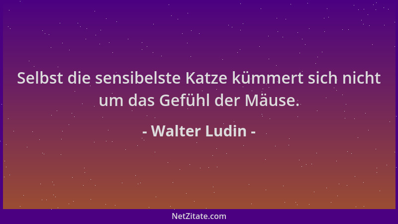 Walter Ludin - Selbst die sensibelste Katze kümmert sich nicht um das Gefühl der Mäuse....
