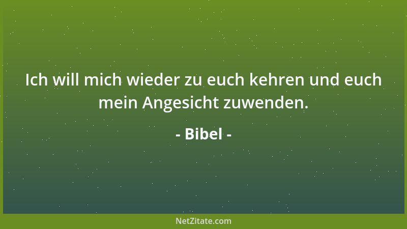Bibel - Und vergib uns unsere Schuld, wie auch wir vergeben unsern Schuldigern....