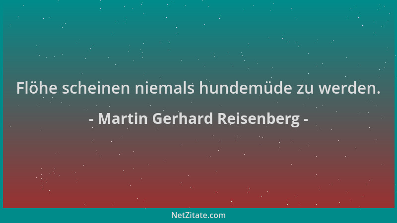 Martin Gerhard Reisenberg - Flöhe scheinen niemals hundemüde zu werden....