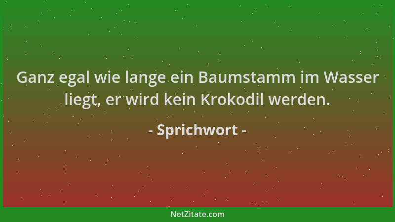 Sprichwort - Ganz egal wie lange ein Baumstamm im Wasser liegt, er wird kein Krokodil werden....
