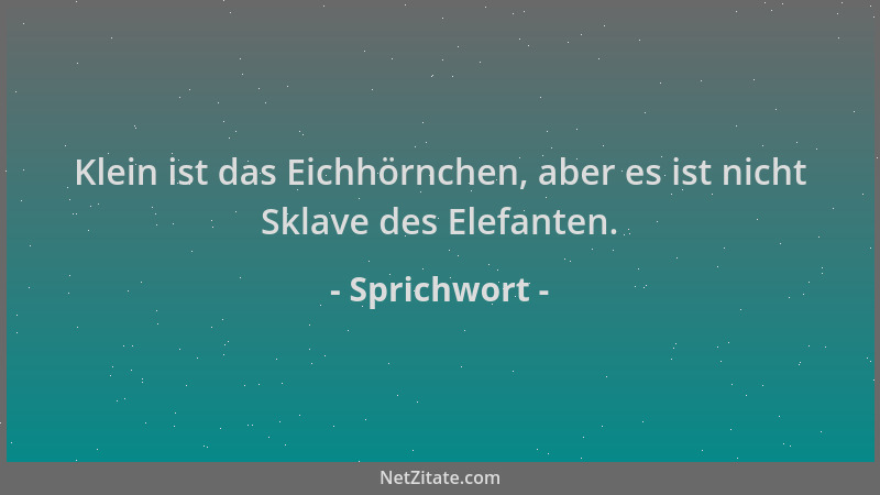 Sprichwort - Klein ist das Eichhörnchen, aber es ist nicht Sklave des Elefanten....