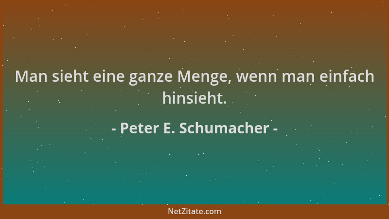 Peter E. Schumacher - Man sieht eine ganze Menge, wenn man einfach hinsieht....