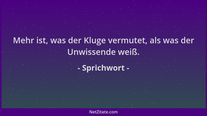 Sprichwort - Mehr ist, was der Kluge vermutet, als was der Unwissende weiß....