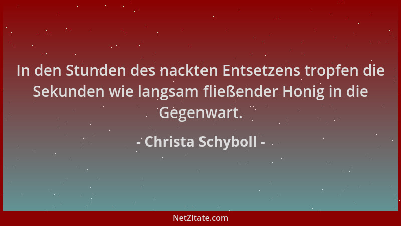 Christa Schyboll - In den Stunden des nackten Entsetzens tropfen die Sekunden wie langsam fließender Honig in die Gegenwart...