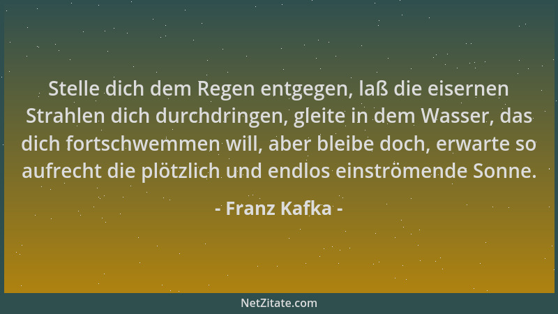 Franz Kafka - Stelle dich dem Regen entgegen, laß die eisernen Strahlen dich durchdringen, gleite in dem Wasser, das dich f...